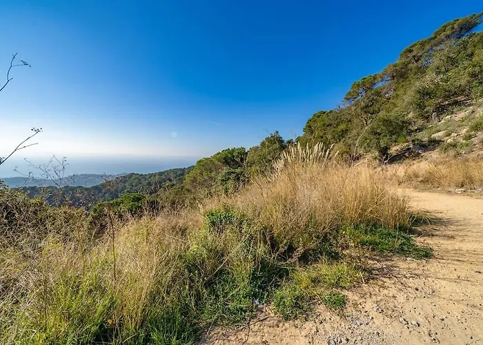 Violetas - Magnificent Sea View, 8 Pers&baby Cot Available, Quiet Area * Lloret de Mar